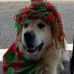 Louise McHugh - @mchugh.louise - Instagram