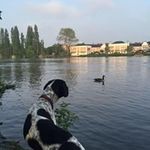 Louise McLeod - @mcleod8974 - Instagram