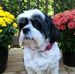 Louise McLeod - Facebook