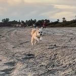 Monroe Louise - @monroelouisebeach - Instagram