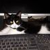 Louise O'Connell - Facebook