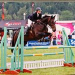 Louise Morrison - @louise_morrison_horses - Instagram