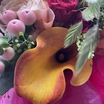 Louise Paddock - Facebook
