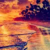 chloelouiseparrish - @secret...account2020 - TikTok