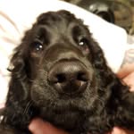 emma louise parrish - @parrishemmalouise - Instagram