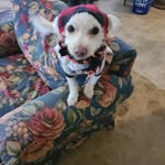 Louise Perdue - @smilepower101 - Instagram