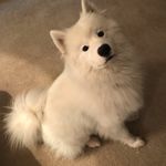 Buster Louise Pinder - @busterlouise - Instagram