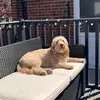louisepinder2 - @louisepinder2 - TikTok