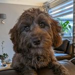 Louise Plummer - @louise.plummer1975 - Instagram