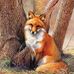 Louise Putnam - Facebook