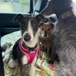 Louise Radcliffe - Facebook