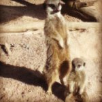 Louise Redding - @superdude7777 - Instagram