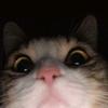 Louise Reimer - @louisereimer_3471 - TikTok