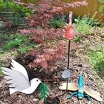Louise Riddle - Facebook