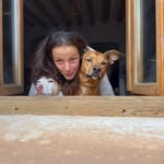 Louise Root - @rootlouise - Instagram