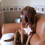 Louise Rush - @louiserush33 - Instagram