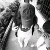 Louise Ruth Cuñado - @louise_122v - TikTok