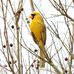 Louise Schmidt - Facebook