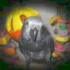 louiseschmidt55 - @louiseschmidt55 - TikTok