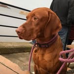 Louise Schofield - @louise.schofield5665 - Instagram