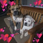 Louise Schofield - @louise.schofield.104 - Instagram