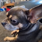 Louise Schofield - Facebook