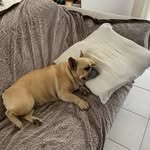 Marie-Louise Serrano-Pasquet - @serranopasquet - Instagram