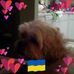 Lou Silverman - Facebook
