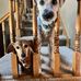 Louise Simonson - Facebook