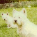 Louise Steadman - @louisesteadman974 - Instagram