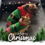 Louise Steadman - @steadmanlouise - Instagram