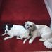 Louise Steadman - Facebook
