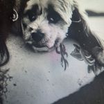 Louise Theodore - @theodore.louise - Instagram