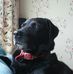 Louise Tyson - Facebook