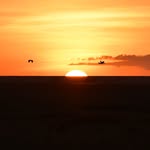 Louise Wallis - @louisewallisphotography - Instagram