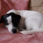 Louise Wallis - @louisewallis60 - Instagram