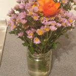 Louise Wickham - @wickham2972 - Instagram