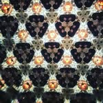 Louise Yip - @louise5201 - Instagram