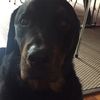 lourdes_the_best - @lourdesthebest - TikTok