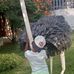 Lourdes Borges Borges - Facebook