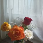 Lourdes Clark - Facebook