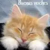 Lourdes Dias557 - @lourdesday2 - TikTok