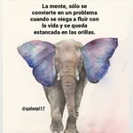 Lourdes Maria Espinal Badia - @lourdesmariaespinal - Instagram