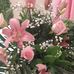 Lourdes Castro Esquer - Facebook