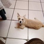 Lourdes Jacobo - Facebook