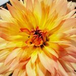 Lourdes Moore - @lourdesm78641 - Instagram