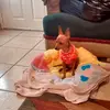 Lourdes Partida - @lourdespartida163 - TikTok