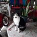 Lourdes Vila - Facebook