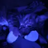 lovehope - @lovehope355 - TikTok