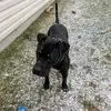 LoveHope - @love_hope03 - TikTok